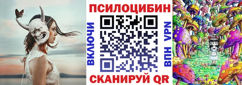 blacksprut зеркало Бикин Псилоцибиновые грибы мицелий